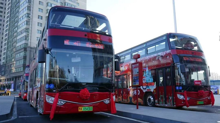 Double-Decker Sightseeing Bus