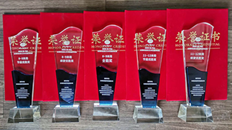  Анкай получает пять наград New Energy Awards!